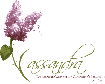 Cassandra_logo9.jpg